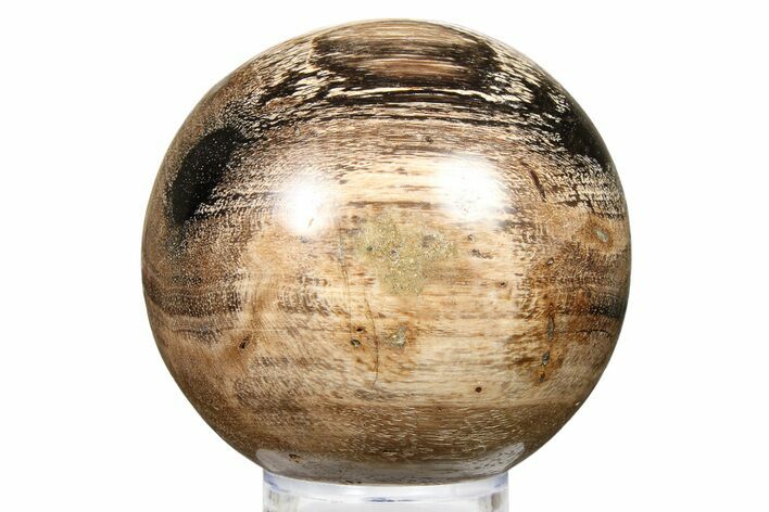 Petrified Wood (Tropical Hardwood) Sphere - Indonesia #266103